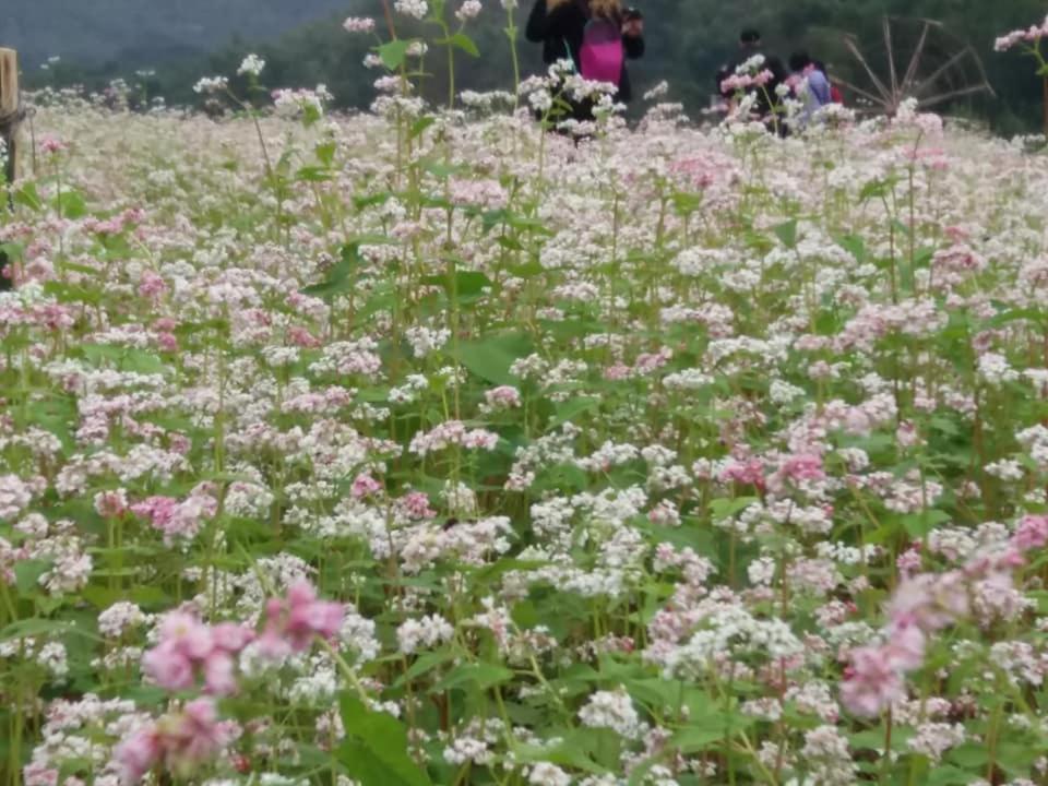 Mai Chau Xanh Bungalow Экстерьер фото