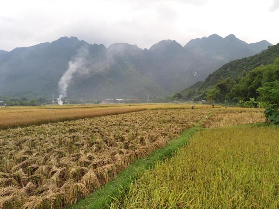 Mai Chau Xanh Bungalow Экстерьер фото